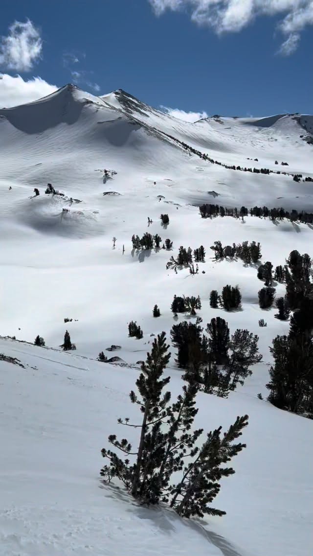 THIS is a backcountry skiers dream. Endless untracked powder. Trees, open bowls and fun terrain. The only tracks you can see are ours.
#earnyourturns #backcountryskiing #leavittlake #lettheoutsidein