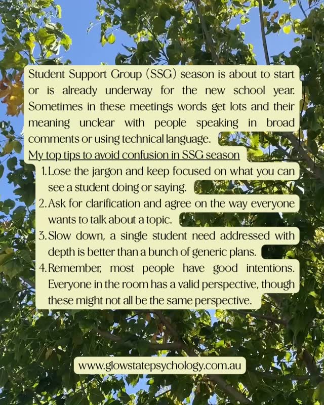 It’s SSG Season! Whether you’re a parent, teacher, or clinician, meetings go better when language is clear. Read the full Clinic to Classroom blog on the website.