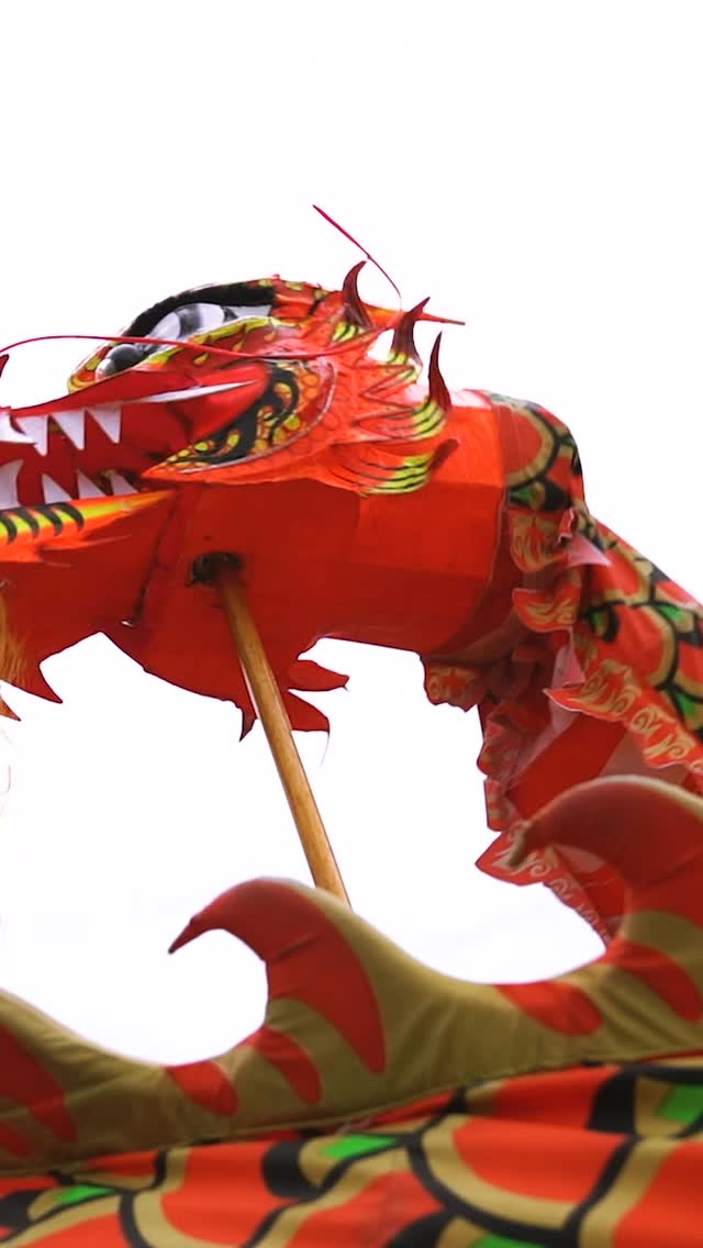 Quick post event highlight reel made for @lovesunshinebiz.vic and their spectacular Lunar New Year festival last weekendπ§§π