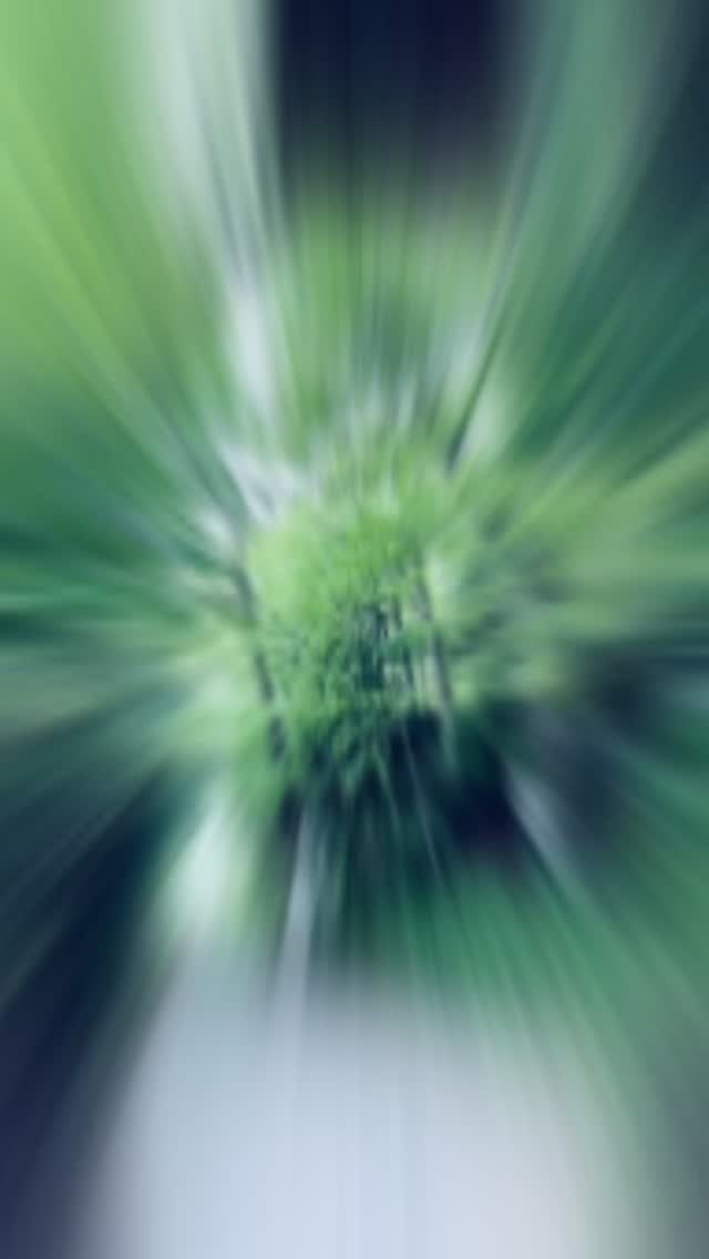 😍Love Retreat!
💋When you know, you simply know!
🔗Link in bio to consider retreating with me!
✌️♥️🙏🙇♀️
#hockinghills #unconditionallove #happilyeverafter #truelovestory #loveconquersall