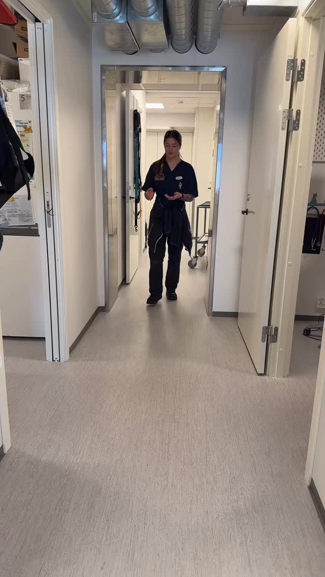 Vi er profesjonelle lommesamlere 🤪