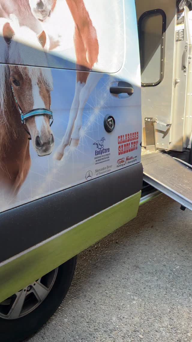 Mini Therapy Horses dental day with our fantastic equine dentist, Dr. Steven Goss. I wish he was my dentist! #equinedentistry #equine #horsepower #horse #horselover #horsecare #minitherapyhorses #wellness #minihorse #health #animals @equusfoundation @cedarssinai @ucla_pac @uclahealth @providencecedars #dental @equusfoundation @platinumperformance