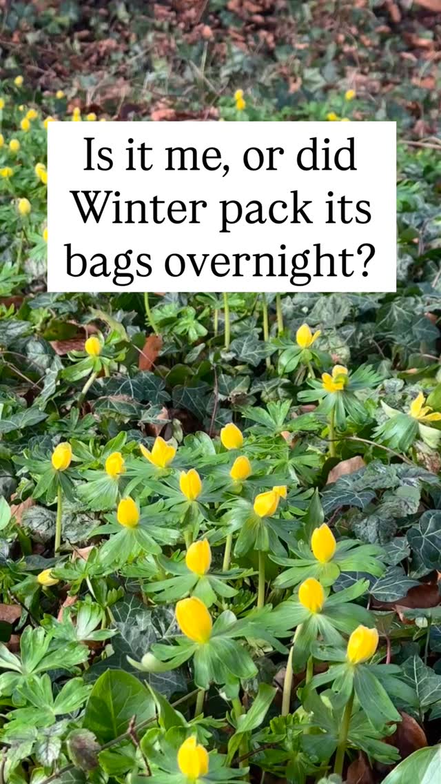 I found 6 signs of Spring today that prove the season is officially changing, how many did you spot this weekend? #spring #springhassprung #gardening