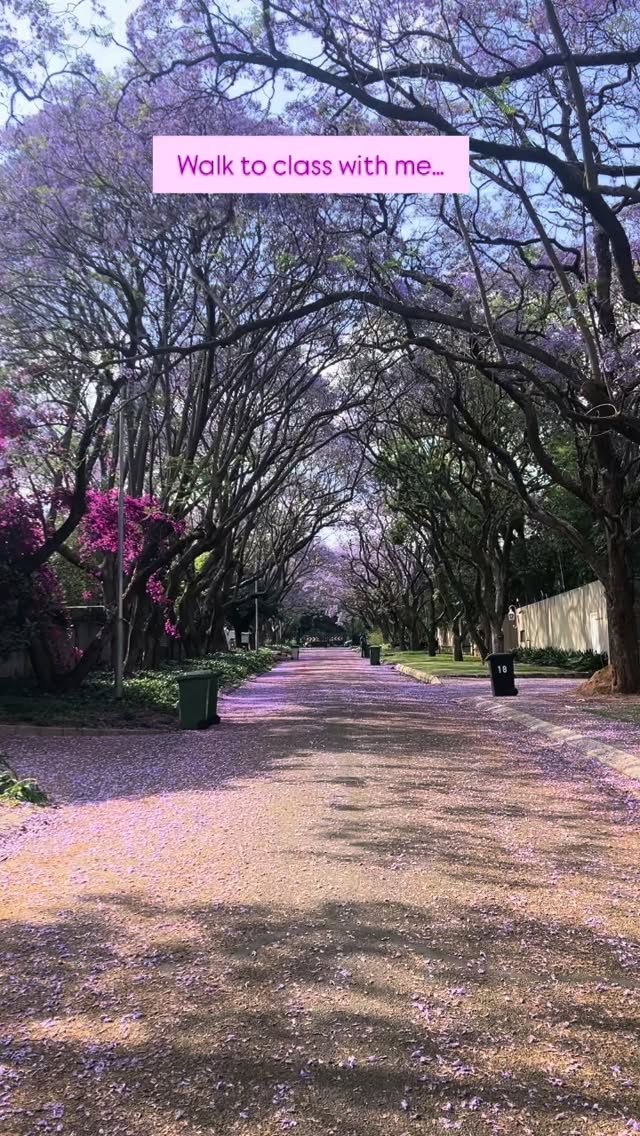 Nestled on a jacaranda-lined lane in the quiet suburb of Hurlingham, Inbalance studio is where yoga meets home. Our yoga community captures the warmth and energy that Jozi people are known for, and a sense of belonging is felt immediately as you arrive for each class.
Our philosophy of balance is threaded through every class:
Balance between movement and stillness, effort and ease, strength and flexibility. Our dynamic classes are tailored to accommodate clients of every age and at every stage of their yoga journey. Whether you’re looking to connect more mindfully, or whether the purpose for your practice is more physical (building strength, flexibility, or preventing injury) you’ll find a beautifully inspiring space to practice each week. The emphasis on mindfulness in each class creates a soulful and spiritual space where each client leaves having received a message of something meaningful, in addition to all the obvious benefits of yoga.
Although our studio provides a peaceful place to practice, the real magic of yoga starts when we can step off our mats and share the practice beyond ourselves. It’s about bringing the benefits into our homes, our places of work, and the communities which we serve.
These are the values around which Inbalance is built — carried, strengthened and embodied by the community of very special people who walk through our doors each week.