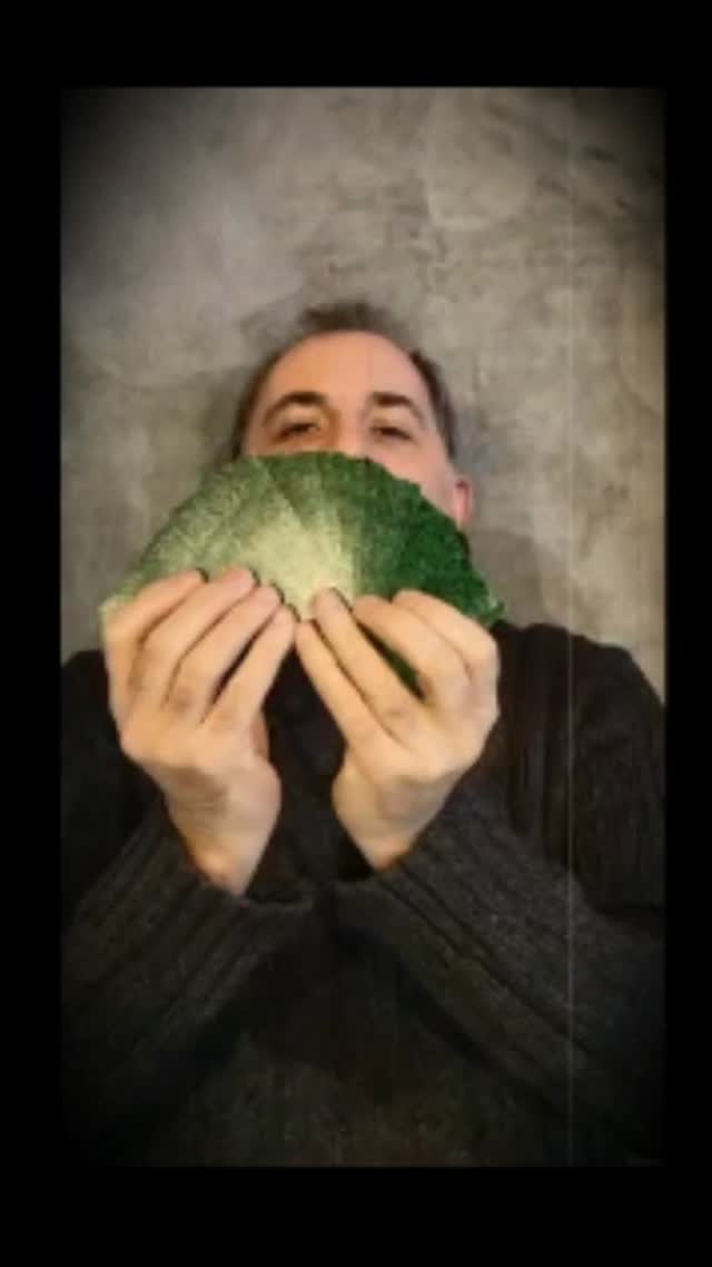 Introducing... Reflections.
An experimental RPG.
Search for it on Backerkit.
#Backerkit #RPG #TTRPG #roleplaygames #crowdfunding