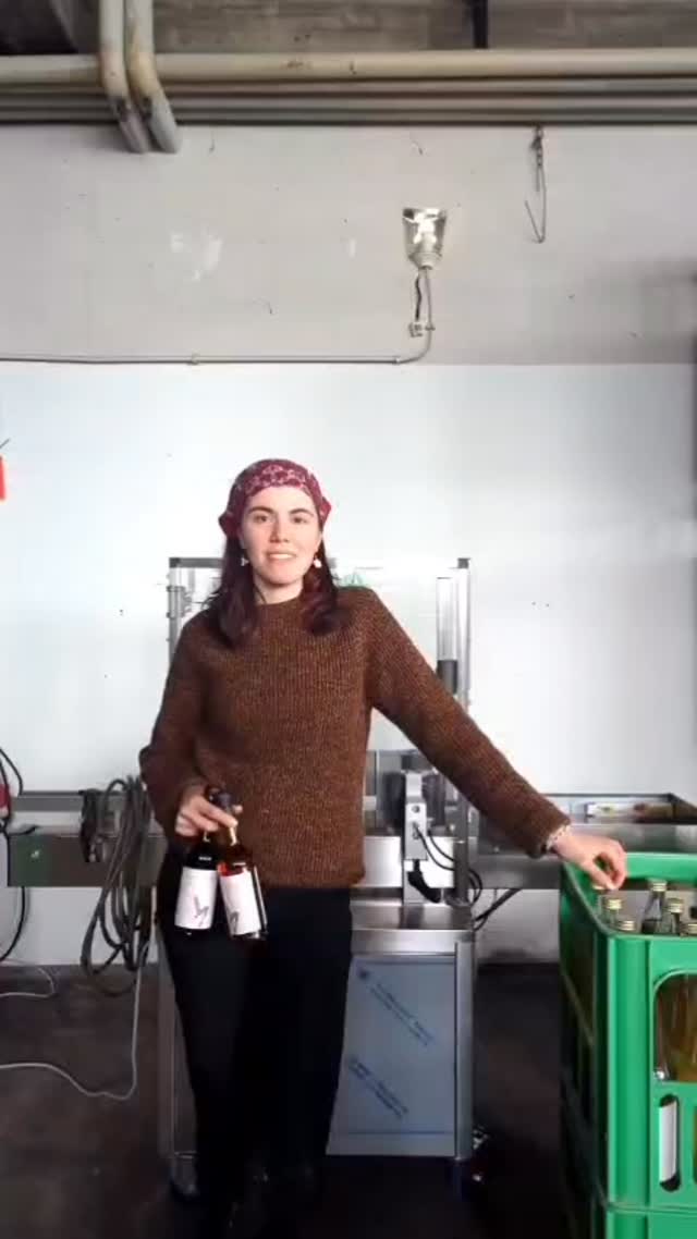 Was macht man eigentlich im Freiwillig ökologischen Jahr (FÖJ) im Weingut? Ella gibt einen kleinen Einblick in ihre Aufgaben.
#FÖJ #Weingut #freiburg #ÖkologischerWeinbau