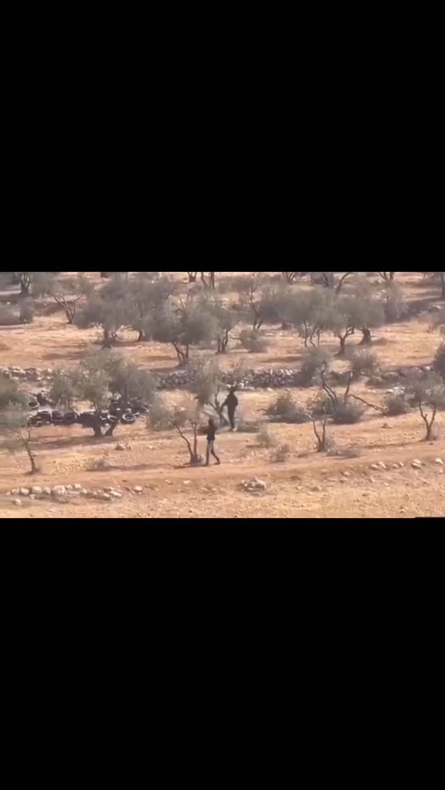 When you cut down a fruit tree,
It’s cry goes from one end of the world to the other,
And the sound is inaudible.
Rabbinical Midrash:
Pirkei deRabbi Eliezer, 34.