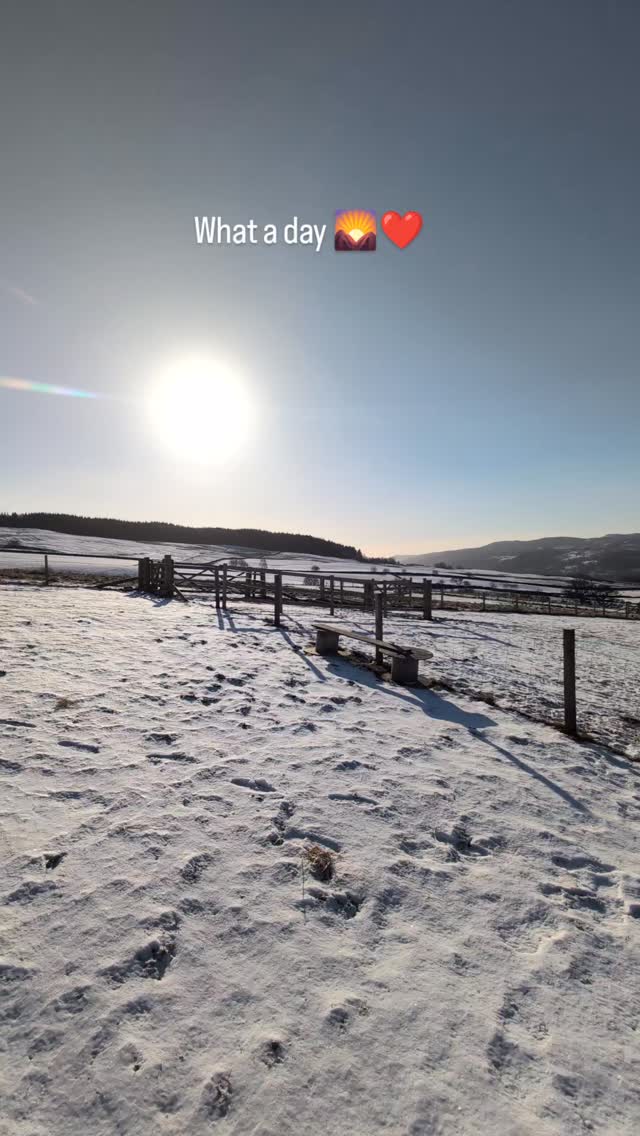 WHAT A DAY ☀️❤️
Beautiful day here at the farm. It's snowy, cold but stunning!
Animals are all out enjoying the sun and having snow zoomies.
Our wonderful Farrier @pegasusfarriery Rebecca has been out today and given our Donks, Dooney and the Toggenburgs a beautiful manicure ❤️
#farmlife
#farmstays
#hobbyfarm
#donkeys
#alpacas