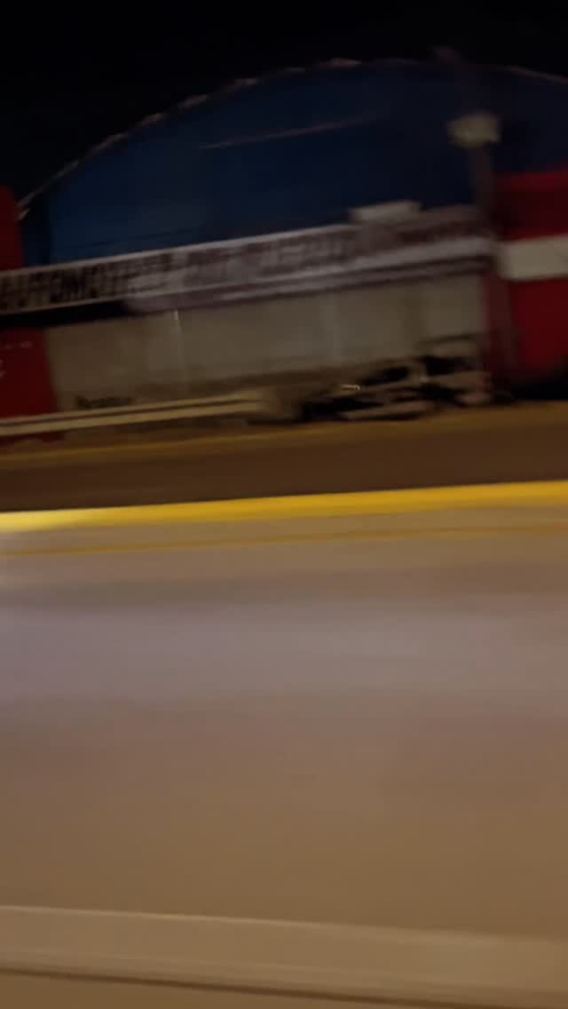 Moto Rentals #puertovallarta #slavesoffreedom #motorcyclerentals #harleydavidson tourists