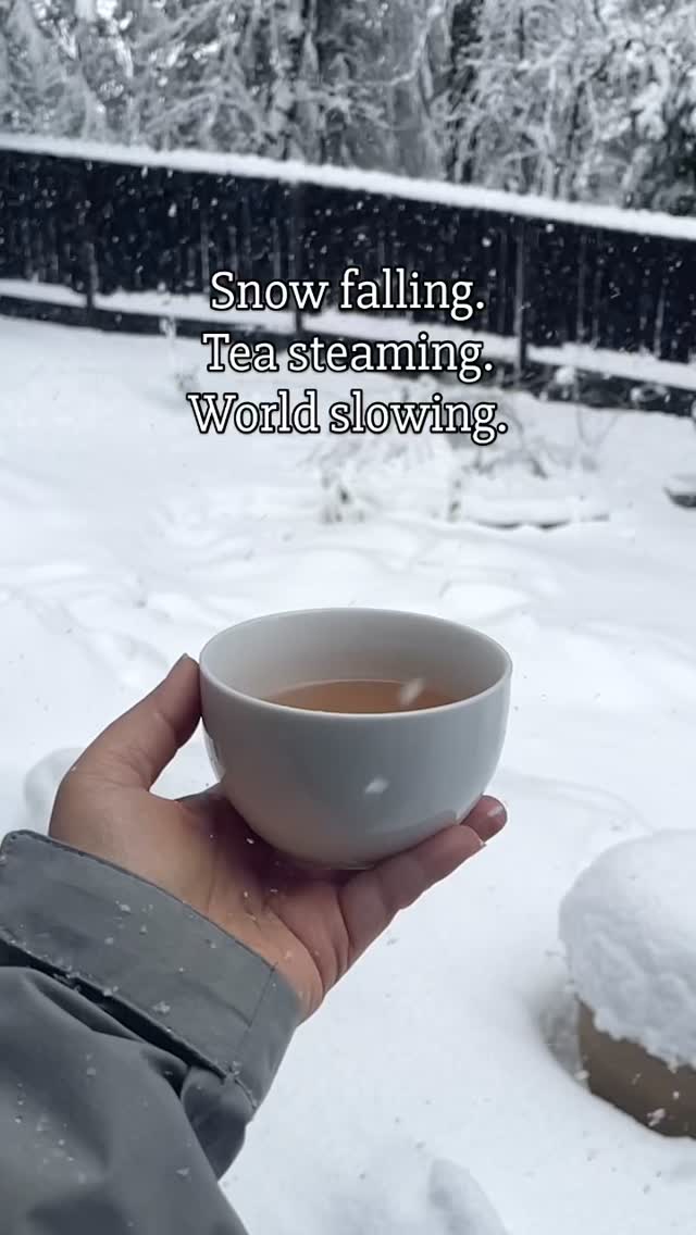 There’s something about holding a warm cup of tea while the snow falls that makes everything feel softer.
#teamoments #teaconnoisseur #wintermoments #sierranevada #tealovers