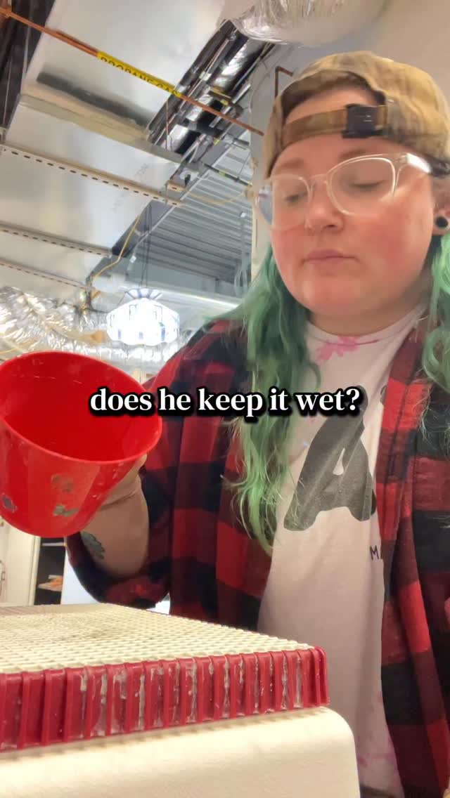 Little trend from The Other Appā¢ļø I couldnāt resist doing while teaching our Valentineās class the other weekend š this stuff slays me. March class is officially FULL but stay tuned for more classes ASAP!! #stainedglassartist #stainedglassart #paigeboy #daddyshome #queerartists