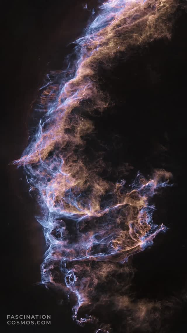 Der Schrei sterbender Sterne, Veilnebel NGC6960-6995
Wir sehen die Trümmerwolke einer gigantischen Supernova-Explosion vor etwa 15.000 Jahren, die sich noch immer jede Minute um 25.000 km ausdehnt. Das leuchtende Gas des über 2000 Lichtjahre entfernten Veil- oder Schleiernebels besteht hauptsächlich aus rotem Wasserstoff und blauem ionisiertem Sauerstoff, den ich nur mit längeren Aufnahmen des OIII-Filter gut sichtbar machen konnte. Eine Schockfront von mittlerweile über 100 Lichtjahren Größe, die durch das All rast und dabei bereits die chemischen Zutaten für die nächste Generation von Sternen und Planeten verteilt.
Aufgenommen in meiner Gartensternwarte mit dem Lacerta Newton 12", 1200mm, f/4, Hyperstar 6“ 430mm f/2.8, QHY268M Monokamera mit 7 Filtern, QHY OAG-Nachführung mit ASI-174MM-Mono-Nachführkamera, SestoSenso2-Fokusser, auf Celestron CGX montiert. Belichtet mit 40 Schmalbandaufnahmen zu je 600s, 15 zu je 450s, 41LRGB Aufnahmen mit je 120s, in Summe etwas mehr als 8 Stunden Aufnahmezeit. Mit Astro Pixel Prozessor, Pixinsight, Adobe PhotoShop verarbeitet und das Bild als Video animiert und vertont.
Bitte gerne meine Post weiterleiten ! Jedwede andere Art von Kopien oder Nutzung nur mit ausdrücklicher Erlaubnis des Copyright Inhabers. Bestellung von Bildern und Accessoires gerne unter https://www.fascinationcosmos.com/ oder per Nachricht an mich.
#fascinationcosmos #faszinationkosmos #franzrettenbacher #astrophotography #astrofotografie #astrophoto #astrofoto #deepsky #astronomie #astronomy #amateurastrophotography #qhy268m #CelestronCGX #Lacerta1200 #Veilnebel #NGC6960 #NGC6995