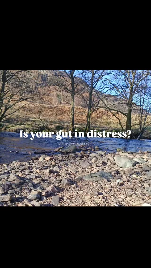 I work with your whole body - that's all of your systems and processes, to understand the source of your issues: Gut, hormones, fatigue, imbalance. The Kinder Plan ll is coming out soon as a revamped signature programme to provide you with an at-home guide to self-healing. In the meantime, I'm here as your 1:1 Nutritional therapist, for testing, deep analysis and support, so that you can find balance again. 💚