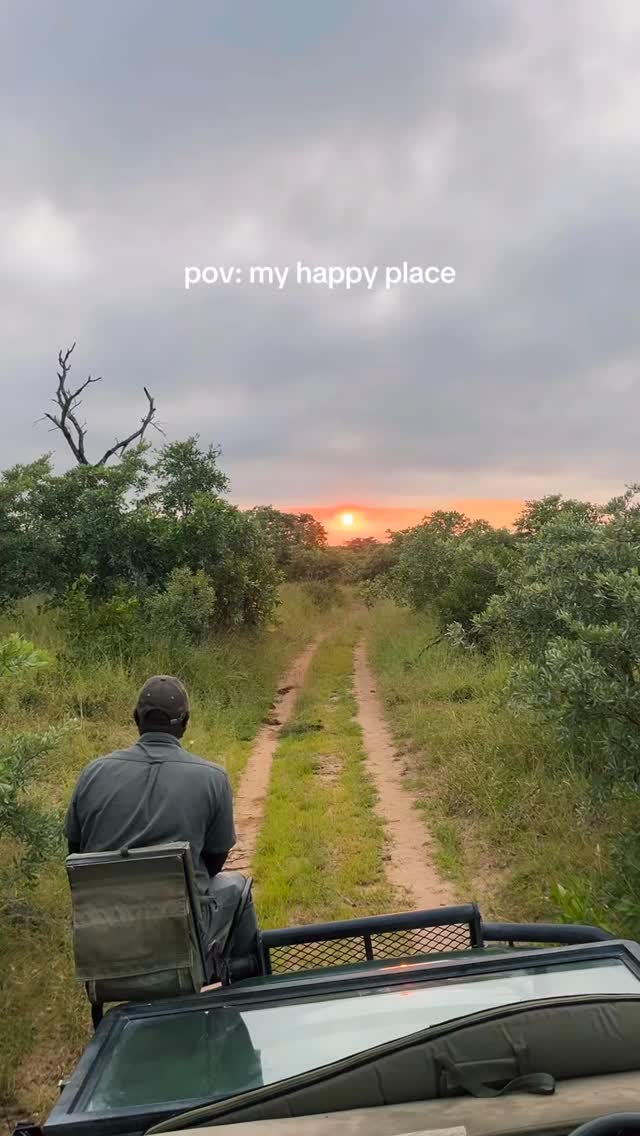 Did you know?
Siviti sits in the heart of the Greater Kruger National Park, one of Africa’s largest and oldest conservation areas, established in 1898. It supports immense biodiversity, including the Big Five, over 500 bird species, and 147 mammal species, with 97% of its area left as undeveloped wilderness.
Beyond the Big Five, the park is home to large-tusked elephants, the “Big Six” bird species, and the “Little Five”.
And even for us locals, witnessing the bush as it should be and seeing the animals is truly a magical experience.
Do you know what animals the little 5 are? Let us know in the comments.
#safari #africansafari #wildlifeofsa #wildlifesafari #wildlifeofinstagram
krugernationalpark thornybushgamereserve luxurysafari luxurysafarilodge travelsouthafrica southafricasafari big5 conservation thisissouthafrica soulful_moments wildlife