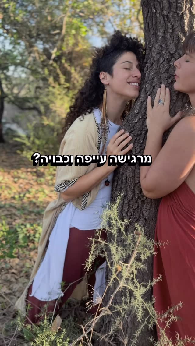 דמייני כמה ימים בלי לרוץ,
בלי שמושכים אותך לאלף כיוונים,
בלי להיות העוגן של כולם.
רק לטבול במים זכים 💦,
שמש על העור,
נשימה שחוזרת לגוף,
לשיר מסביב לאש 🔥
ונשים שאפשר להיות לידן פשוט כמו שאת.🪬
ריטריט WILD לנשים בכריתים.
5 ימים שלחיבור לעצמך ולמיניות שלך דרך החיבור לטבע.
מרחב שבו מותר לצחוק 😊,
לבכות😢,
לנוח 😴,
לנוע💃🏾,
ולהתמלא בכוחות חיים 🔥.
ריטריט WILD נועד כדי
להזכיר לך איך את שאת מחוברת לגוף, לטבע ולאנרגיית החיים.
אם משהו בך מתגעגע לטבע פראי, למסע בחו״ל ולשבט נשי שמחזיק אותך
יכול להיות שזה המסע עבורך.
19-23.5 | חג שבועות
הגיבי WILD ונשלח את
כל הפרטים 😻
#wild #מסענשים #מיניות #נשיות #יוון