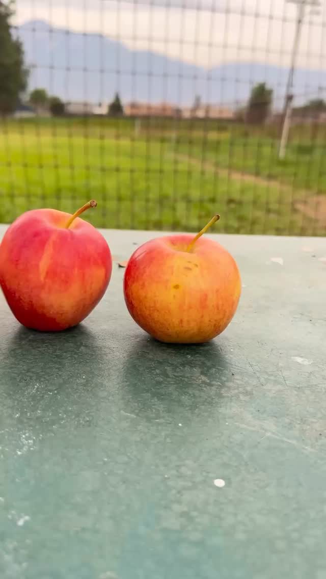 This week we’re practicing #KindnessInActionWeek the Wellness Ranch way 💛
Sometimes kindness looks like slowing down, showing gratitude, and offering care—one apple at a time.
Thankful to stand alongside @iamgifted.foundation and @makinghopehappenfoundation in spreading kindness across our community.
#wellnessranch #ranchocucamonga #mentalhealthmatters #kindnessiseverything