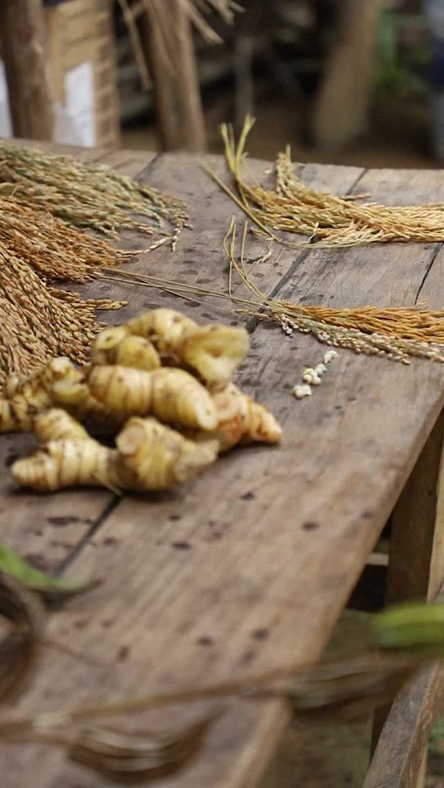 LA ESTRELLA x ENDÉMICO🌾
Este 27 de febrero te invitamos a nuestro PRIMER ANIVERSARIO✨💥
Visitanos y disfruta de una noche llena de buena comida y producto local junto al chef José de @endemico_lab y nuestro Chef Elías Rodriguez @elias_eduardococinero 🌱y un buen repertorio de música latina con Tropical-Istmo @tropical_istmo_panama 🕺🏽🌴
La cita es desde las 7pm en La Estrella - Barra Local 🏠
Reservas desde nuestra pagina web🍸
VALET PARKING DISPONIBLE🚗