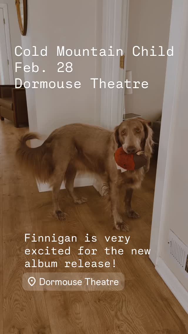 #dormousetheatre #kalamazoo #livemusic