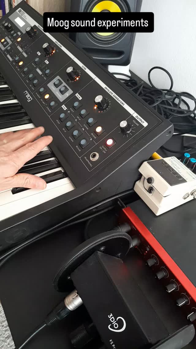 Moog sound experiments #moog#littlephatty#electronic#df_tram#musicproducer