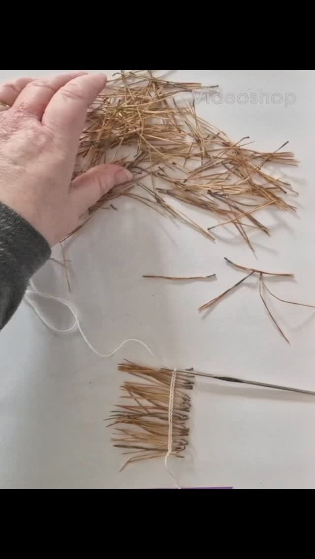 Dennennaalden deel 2.
Begonnen aan een volgende rij. Het blijft tijdrovend (dit is een versnelde weergave😬), dat vind ik niet erg. Als ik eenmaal bezig ben, gaat er iets in mijn binnenste vertragen. Tijd is even niet belangrijk, focus op de dennennaald, garen, haaknaald en mijn handen. Zo werk ik graag...
.
#natureinspires #pineneedles #dennennaalden #botanicalart #welkominmijnwereld