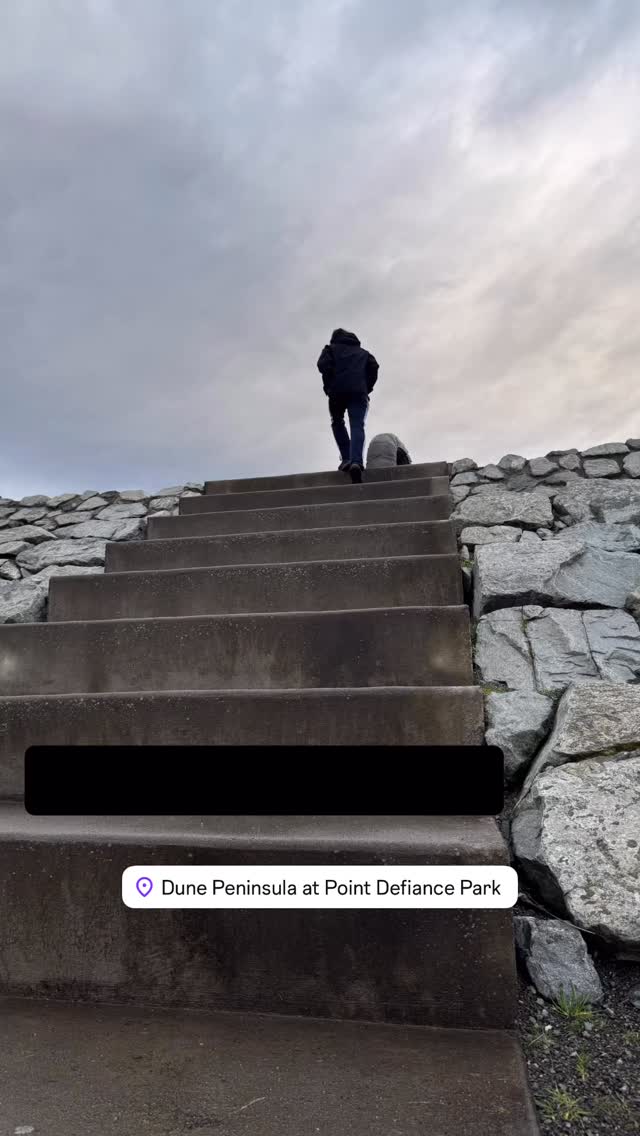 #DunePeninsula #MonkeyShines