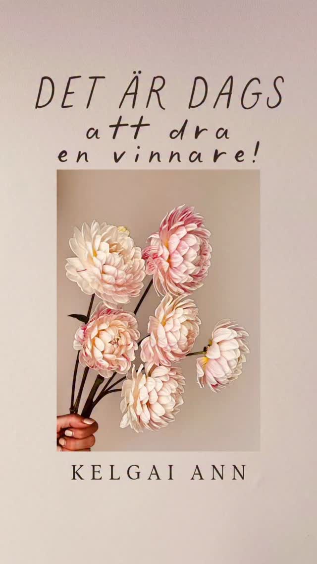 Vilken dahlia vill du få chansen att vinna nästa gång?