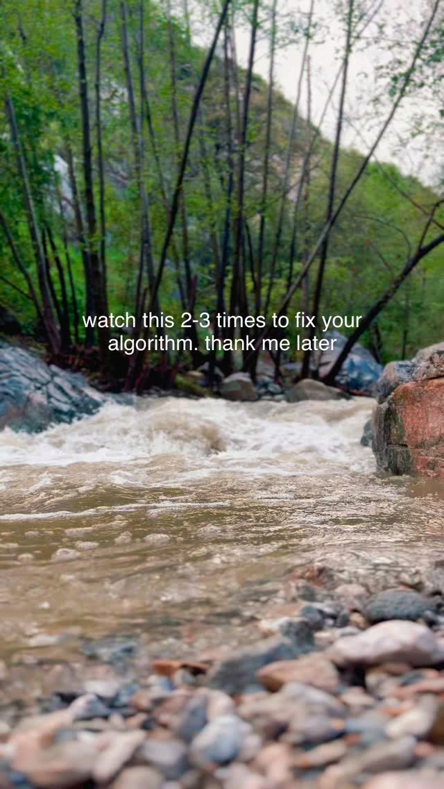 Resetting your feed (and your nervous system) with the sounds of nature 😌✨
#naturesounds #forestbathing #rainsounds #waterfallsounds