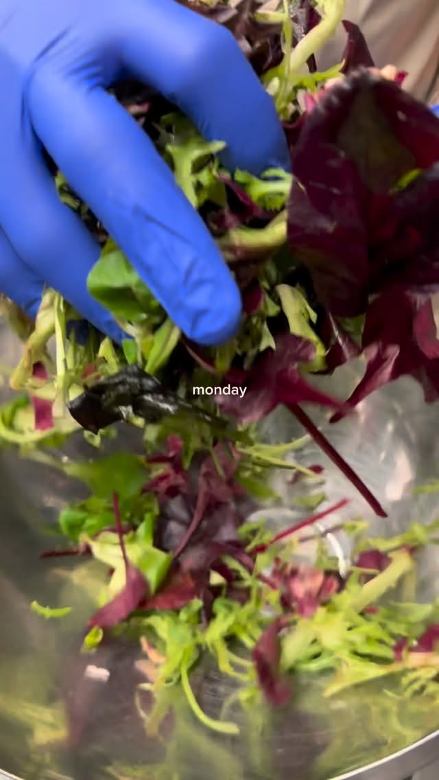 Monday cravings.
Midweek comfort.
Weekend feasts.🇬🇷
#GreekAllWeek #WhereGreeceMeetsOslo #OsloFood #OsloRestaurants #GreekCuisine