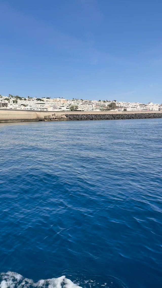 Dolphin and turtle spotting on a boat trip from Puerto Del Carmen
#lanzarote #boattrip #dolphinwatching #lanzaroteisland #turtlespotting