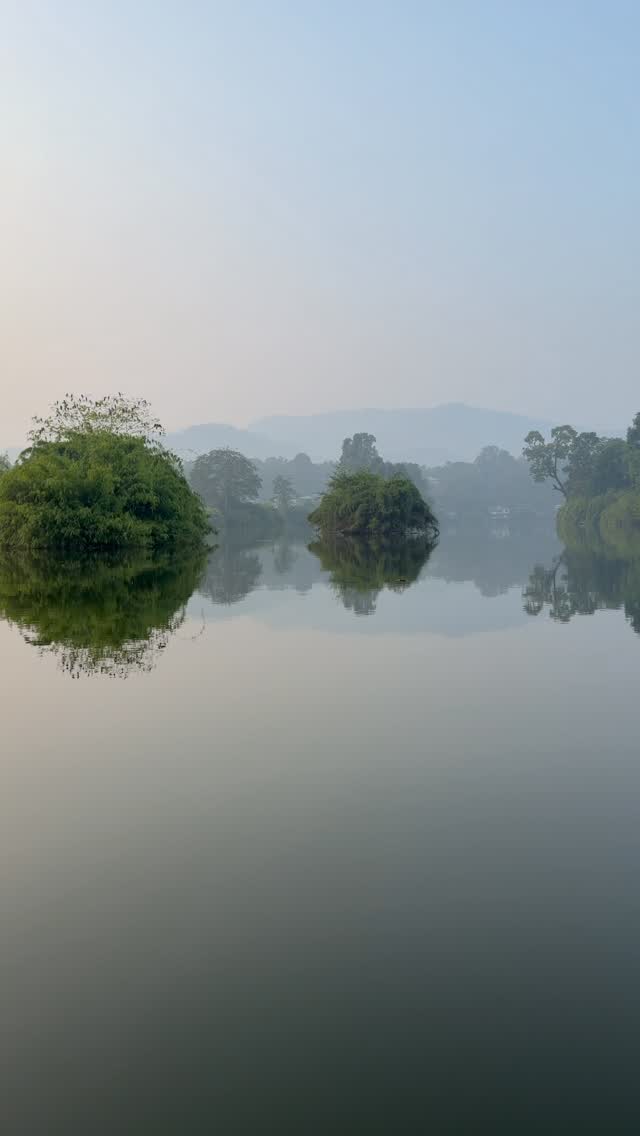 Drifting along the Periyar as mist lifts gently from the water and the forest leans in close. The river moves without haste, carrying reflections of sky and silence in equal measure. Some journeys are not about distance, but about learning to slow down and simply observe.
#PeriyarRiver
#KeralaDiaries
#WesternGhats
#BoatSafari
#NatureInIndia