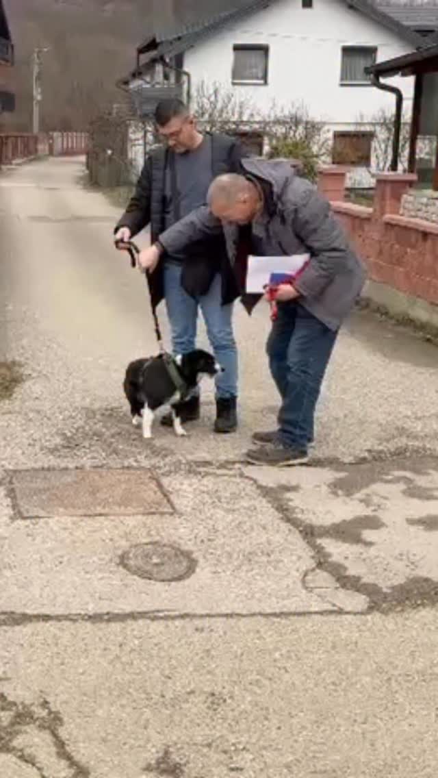 Ein Happy-end oder?🥹🥹🥹🐶
•
Seit gestern sind René und Happy von Banja Luka bis zu mir ins Allgäu unterwegs gewesen 🚘 . Meine Nerven lagen heute blank und ich war so aufgeregt. Besonders wegen der Zusammenführung mit meiner Deli. Was wenn sie sich nicht verstehen? Wird Delchen sie tolerieren in ihren vier Wänden… was wenn die Chemie nicht stimmt…
•
Aber das Ergebnis vom ersten kennenlernen habe ich euch hier natürlich auch gezeigt! 🤭 Ich war so angespannt und jetzt kann mein Körper endlich runter fahren! Die Mädels schlafen jetzt ganz fest und Happy kam in ihrer Box zur Ruhe. Stubenrein ist die Maus natürlich noch nicht und ich schaue, dass ich sie die Tage nochmal abchecken lassen werde, da sie wirklich noch stark humpelt und ihr ganzes Gestell recht schief ist durch die Fehlbelastung seit sie (wahrscheinlich) angefahren wurde. 🙏🏻 Ich denke da ist was mit ihrer Wirbelsäule nicht ganz in Ordnung …
•
Jetzt heißt es aber sich erst mal kennenlernen, gemeinsam lernen und zusammenwachsen. 🤍
•
Welcome Home kleine Happy-Maus.
Schön, dass du jetzt unser Leben bereicherst.
Vielen Dank @rene.boehmerle fürs abholen 🫶🏼 @ug_kerber fürs einfangen und verpflegen von happy und @_kobine_ für diese tollen Kontakte. Ohne euch wäre das nicht möglich gewesen 🙏🏻🍀
#tierschutz #adoptdontshop #bosnien #straßenhund mischlin