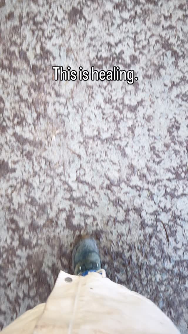 Today, during a session with a new client, I was reminded of something I see again and again…
Healing rarely starts with extremes.
It starts with something small.
A slower breath.
A quiet walk in nature.
A warm mug of herbal tea.
The gentle vibration of a sound bowl settling a busy nervous system.
These simple, mindful practices might seem insignificant at first — but they let in a peace that creates space. Space for the body to soften. Space for the mind to clear. Space to actually hear what you need.
And from that space?
Strength grows. Flexibility improves. Energy returns. Balance begins to feel possible again.
We don’t need complicated plans or punishing routines.
Often, we just need to come back to the basics — consistently and intentionally.
There is something really powerful about watching someone reconnect with their body in a calm, steady way. It’s not dramatic. It’s not loud. But it’s deeply transformative.
What’s one small, gentle step you feel drawn to explore in your own journey right now? 🌿
#HolisticHealth
#NervousSystemSupport
#StrengthWithIntention
#SlowWellness
#BusyButBalanced