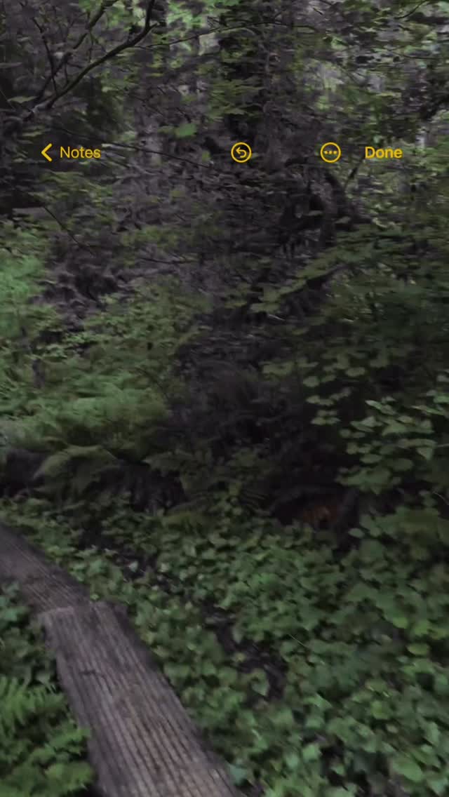 Not everyone will understand your path...& that's ok!