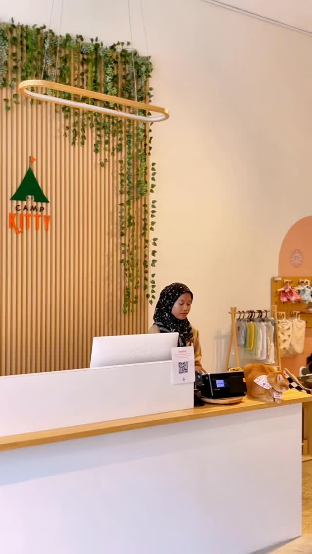 No, we don’t just play with cats all day.
There’s also…chaos. Lots of chaos.