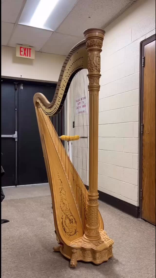 Westerville Symphony rehearsal: complete ✅
Harp: still loading 🔄
.
.
.
#WestervilleSymphony #harpistlife #OrchestraLife #harplife #BehindTheScenesMusic