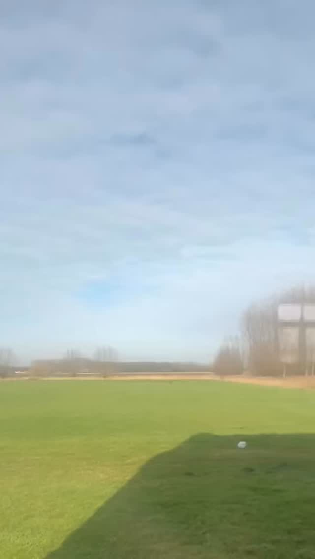 Say hi to my friends !