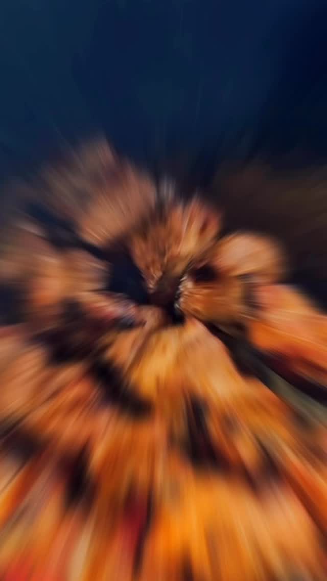 Rozhodli jsme se připravovat tematické týdenní menu a pro velký úspěch z předminulého týdne, chceme znát vaše přání a potřeby. 🫶
Napište nám do komentáře o jaký typ kuchyně máte v Tišnově největší zájem ⬇️