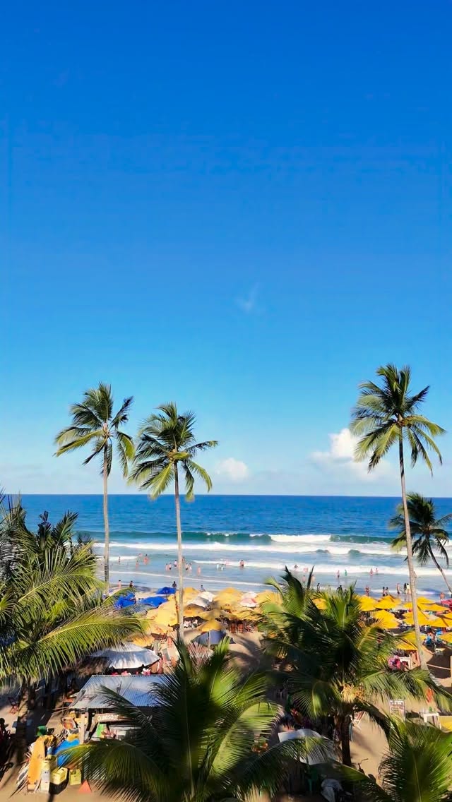 Essa é a cor dos dias de verão que te esperam em Itacaré.
Ainda dá tempo de aproveitar o verão 2026 em um dos destinos mais desejados do Brasil, que esteve entre as 15 cidades mais procuradas em 2025.
Acesse o link da bio e garanta sua reserva na melhor localização de Itacaré, a um minuto da orla, da Pituba e dos principais pontos turísticos da cidade.
#itacare #bahia #hostel #pousada #opharolhostelepousada