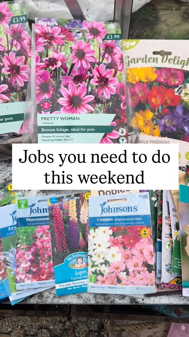 February in the UK is that āblink and youāll miss itā window. Itās still chilly, but the sap is starting to rise, and the birds are definitely getting louder.
Since itās the third weekend of the month, youāre in the prime time for sowing, potting up and planting out to get ahead of the spring rush. Here is your checklist for the weekend:
š±Sow annuals indoors
š±Sow perennials undercover
š±Pot up tomato, peppers and chilli
š±Plant out any shrubs, fruit bushes and trees to establish before summer
š±Pot up dahlias but leave undercover in a shed or greenhouse
š± Edge and weed your borders
If you would like monthly reminders, hints and tips. I cover all these in my free online magazine. Link in bio šš»
#gardening #gardeninglife #gardenhacks