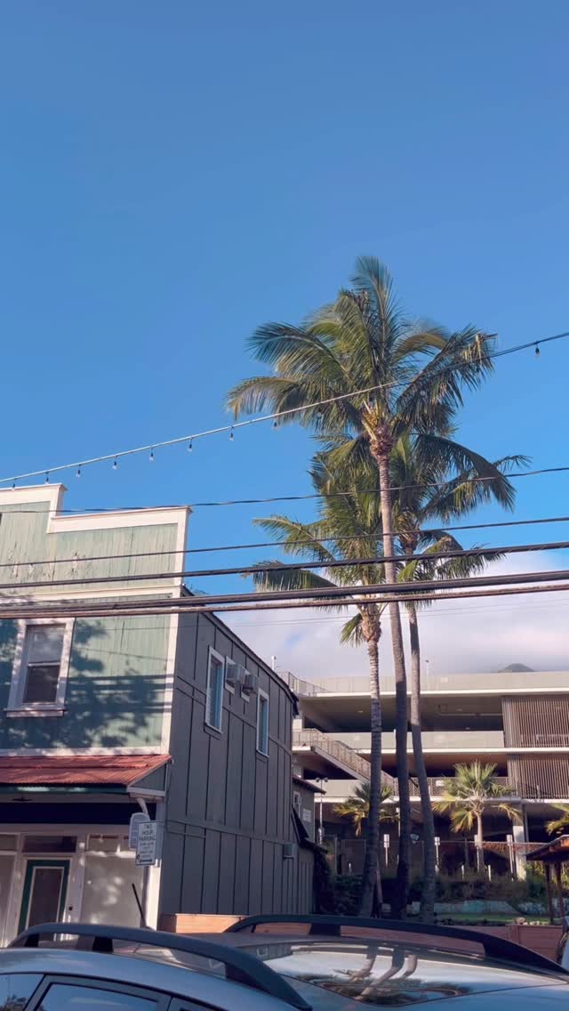 This is your spot for a cozy brunch on Maui!
🧅Seasonal menu
🥬Farm to Table
🧑🍳 Artfully house crafted cuisine
#sixtytwomarcket #wailukueats #mauieats #handcrafted #farmtotable