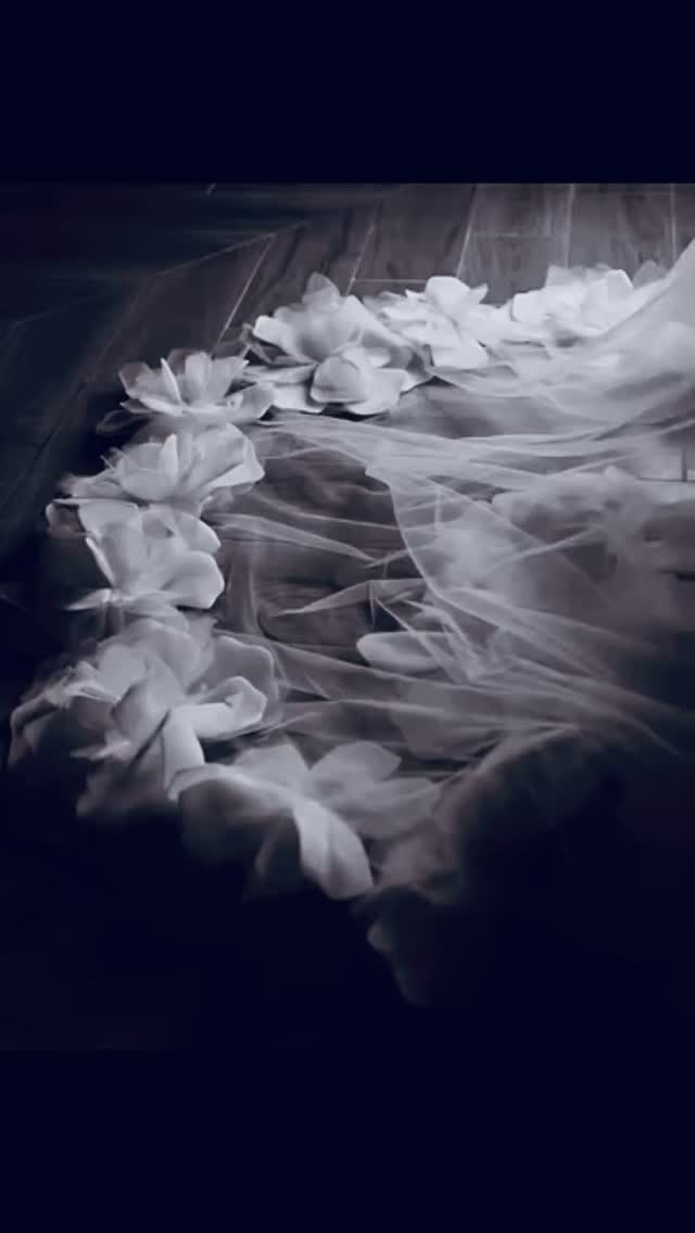 DRAMATIC
This year I have seen the return of the big, dramatic veil and I am so happy it is back. Think bold designs, soft layers and beautiful handcrafted details that move gently as you walk. Those long cathedral length veils feel really special and add a sense of theatre when you walk into the room or down the aisle. They frame your dress, catch the light and look incredible in photos without stealing the attention away from you.
It feels like a modern way to play with classic elegance and it is such a lovely option if you want something simple but still unforgettable.