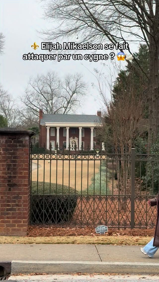 Cette anecdote est hilarante non? 😭😂 #thevampirediaries#lockwoodmansion#elijahmikaelson#theoriginals#danielgillies