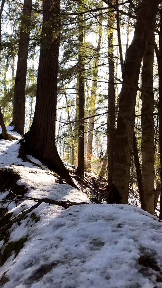 Winter did its thing.
Now it’s time for warmth, growth, and longer evenings.☀️
24 days until spring🌱
#NorfolkCounty #SpringisComing #Nature