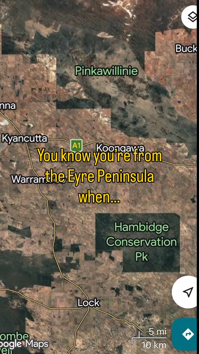 Add to this: the one finger wave, constant wind swept hair, you think a nickname is their actual name, the word G’Day still exists, most blokes remember how your husband played cricket, all roads lead to the coast and…
Drop your favourite EP quirk here:
#eyrepeninsula #westcoastbestcoast