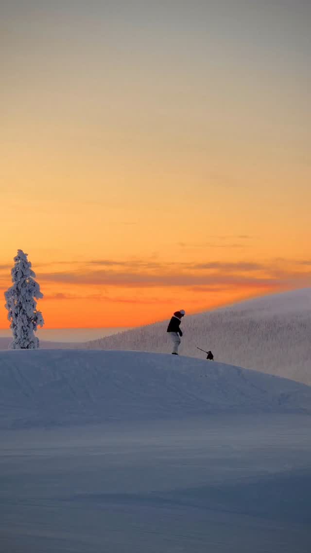 Today in our stories we were talking about animals welfare in mass tourism. Very important subject. We will continue being loud about it.
#visitlapland #visitfinland #snowytrees
