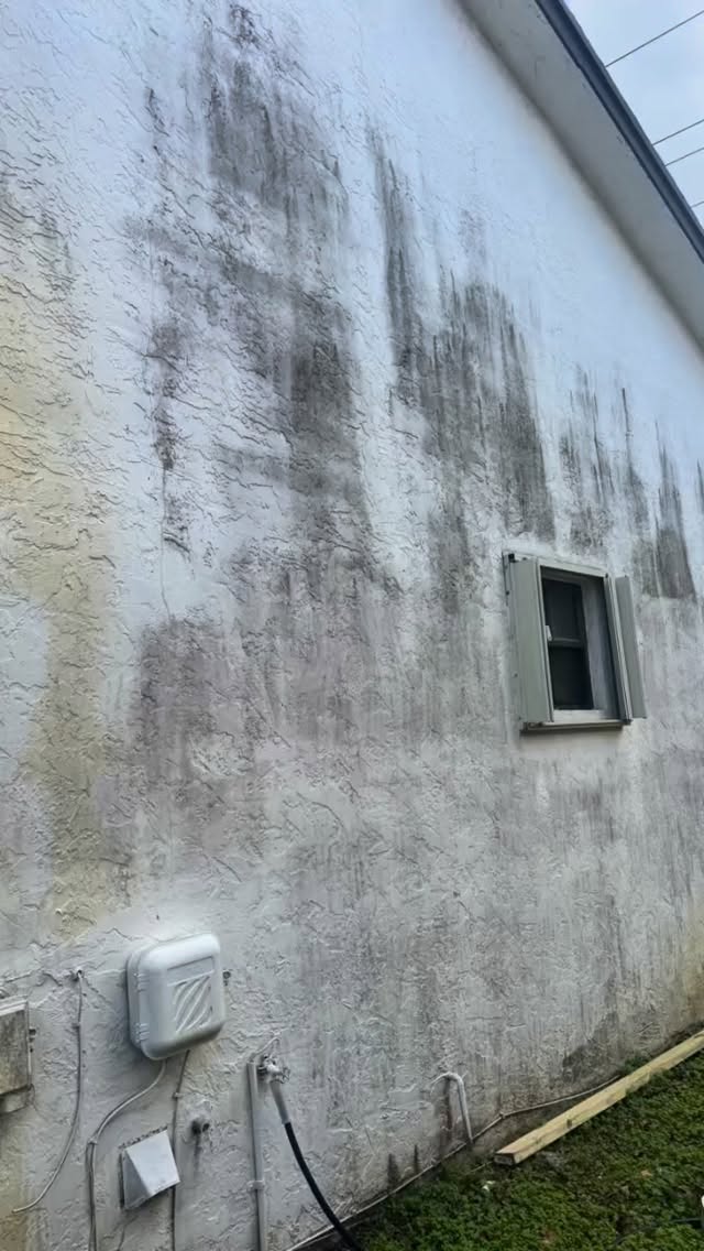 #pressurewashing #roofcleaning #softwashing #tnacleans #pressurecleaning call today for a free estimate 3053189961 www.tnacleans.com