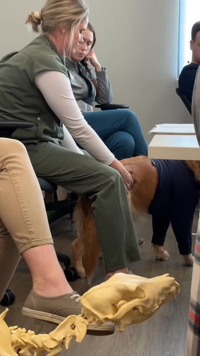 The biggest mental block is this:
Chasing future success
while running from past failure.
Being so worried about “what if this goes wrong?” that you can’t focus on the patient in front of you.
You’re so afraid of “failing again” that you second-guess every decision.
Peak performance lives in the moment.
Past and future are noise.
-———————
Here’s how to make this shift:
Move from outcome-based to identity-based decision making.
Outcome-based:
“I need to be perfect to look competent.”
(Fear-driven. Future-focused. Anxiety.)
Identity-based:
“I am the kind of person who makes thoughtful decisions. Therefore, I will gather information, trust my training, and do my best.”
(Values-driven. Present-focused. Confidence.)
The difference?
Outcome-based = controlled by results (which you can’t fully control)
Identity-based = controlled by values (which you CAN control)
Self-confidence isn’t about knowing you’ll succeed.
Self-confidence is about taking actions aligned with your character.
Try this:
Fill in the blank:
“I am the kind of person who _____________.
Therefore, I will _____________.”
Examples:
I am the kind of person who shows up fully present.
Therefore, I will focus on this moment.
I am the kind of person who makes thoughtful decisions.
Therefore, I will trust my training.
I am the kind of person who learns from mistakes.
Therefore, I will release the past and move forward.
Peak performance lives in the moment.
Not in chasing success. Not in avoiding failure.
In being who you are. Right now.