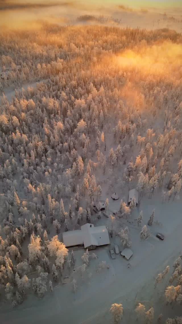Home🤍
#visitlapland #visitfinland #snowytrees