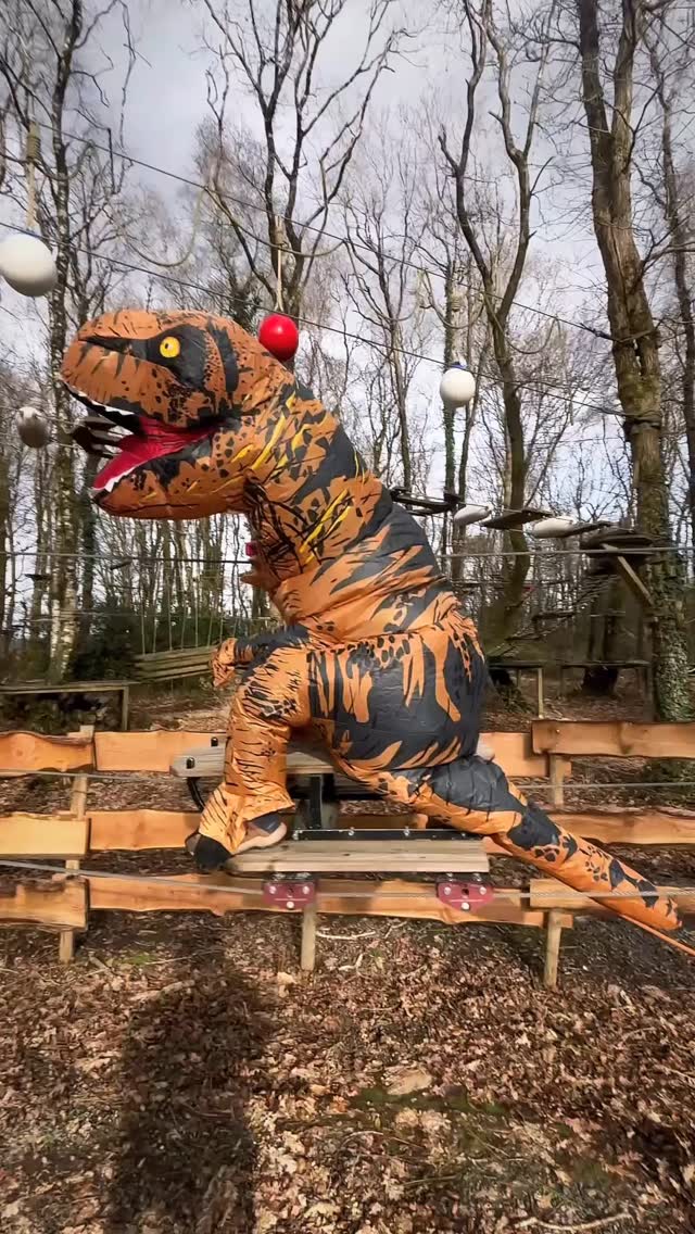 🦖 Au Fun Park de Dirinon même les dinos savent prendre de la hauteur ! 🦖🌳🌳🌳
Aujourd’hui, au Fun Park de Dirinon, un visiteur pas comme les autres s’est invité dans les arbres : Ty rex, le plus intrépide des dinosaures .🦖
#accrobranche #JurassicAventure #TyrexEnForêt #funpark