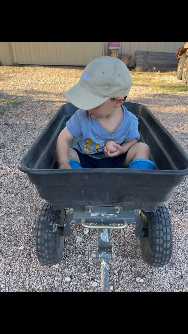 Everyday he delivers a fresh egg to his grandma